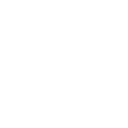 icon officials